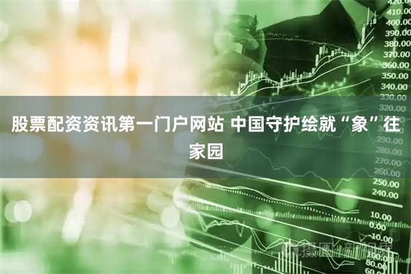 股票配资资讯第一门户网站 中国守护绘就“象”往家园