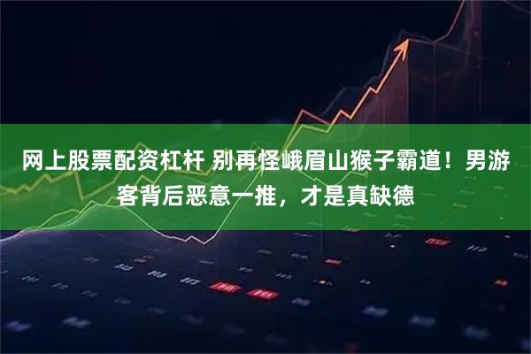 网上股票配资杠杆 别再怪峨眉山猴子霸道！男游客背后恶意一推，才是真缺德